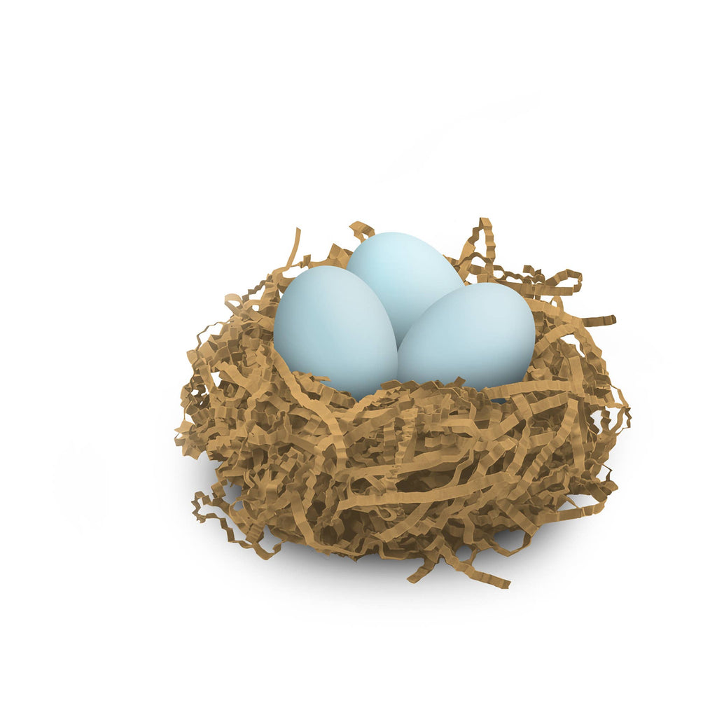 Nest with three blue eggs on a white background